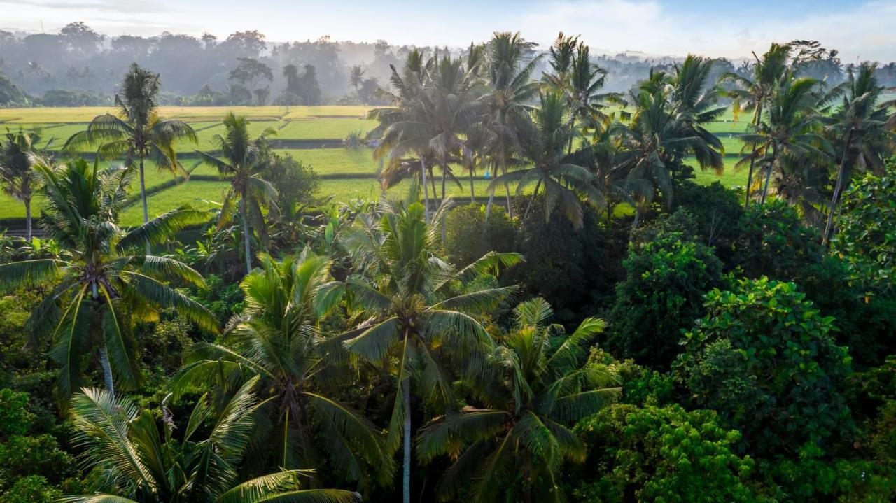 Villa Andrea By Balisuperhost Ubud